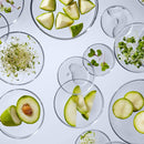 StriVectin Peptight Tightening & Brightening Face Serum, 1.7 Fl Oz martinandmark.com