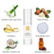 Organic Retinol Night Cream - Anti Aging Face Cream - Natural Anti Wrinkle Skin Care with Shea Butter, Aloe Vera, Honey, Jojoba Oil and Hyaluronic Acid Eavara Store