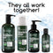 Antifungal Antibacterial Soap & Body Wash - Natural Fungal Treatment with Tea Tree Oil for Jock Itch, Athletes Foot, Body Odor, Nail Fungus, Ringworm, Eczema & Back Acne - For Men and Women - 2 Pack Derma-nu Miracle Skin Remedies Store