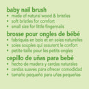 green sprouts Nail Brush green sprouts