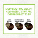 Schwarzkopf Simply Color Permanent Hair Color, 3.65 Dark Chocolate Schwarzkopf