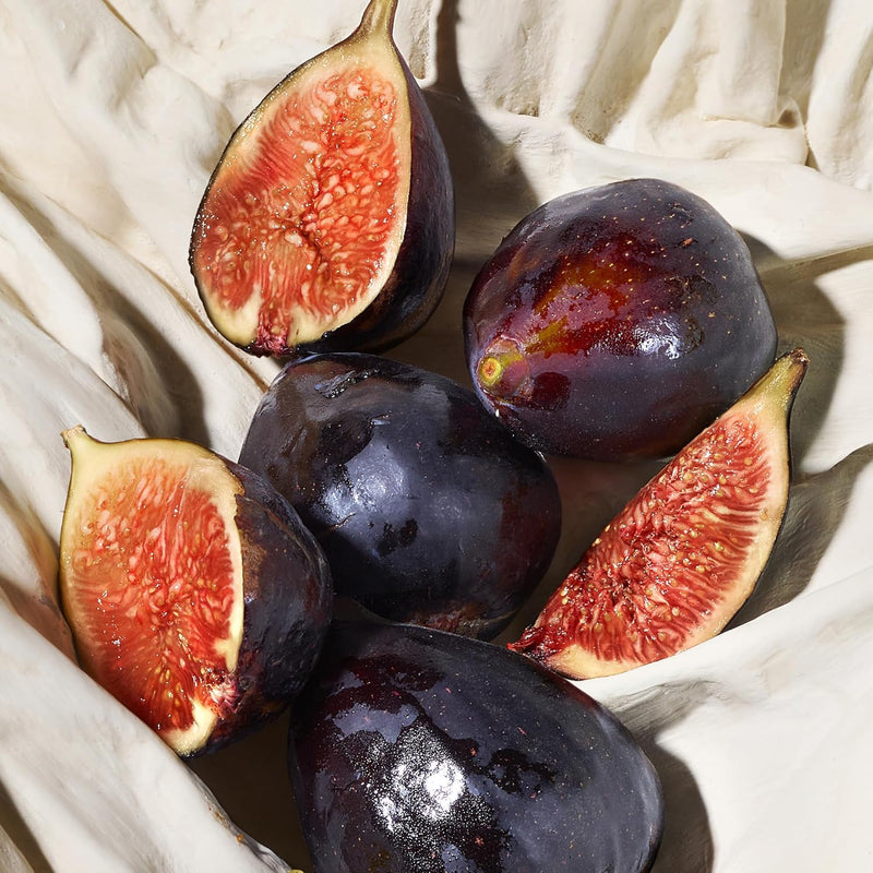 Dolce & Gabbana Dolce Blue Jasmine, Eau De Parfum Travel, For Women - 75 ml / 2.5 fl.oz Infinity Warehouse