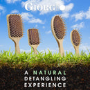 Giorgio Wooden Bristle Paddle Hairbrush, Large Detangling Cushion Brush for Thick Curly or Long Hair, Anti Static, Reduce Frizz and Massage Scalp, Detangler Hair Brush for Women Men and Kids GIORGIO