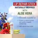 Aquaphor Naturally Inspired Lip Repair Stick with Aloe Vera and Natural Shea Butter, Hydrating Lip Balm Stick Immediately Relieves Dryness and Soothes Chapped Lips, 0.17 Oz Stick, Pack of 3 Infinity Warehouse