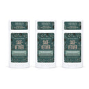 Schmidt's Aluminum Free Sensitive Skin Natural Deodorant with Hemp Seed Oil For 24 Hour Odor Protection and Freshness, Sage + Vetiver Vegan, Certified Cruelty Free, 3.25 oz 3-pack Schmidt's Store