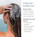 Briogeo Scalp Revival Charcoal + Coconut Oil Micro-Exfoliating Shampoo | Sulfate-Free Scalp Scrub for Dry, Itchy, or Oily Scalp | Detoxifying & Hydrating | Vegan & Cruelty Free Infinity Warehouse