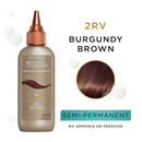 Clairol Professional Beautiful Advanced Gray Solutions, 2rv Burgundy Brown, 3 oz Clairol Professional