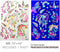 Temporary Tattoos – 1 Sheet Unicorns Design Body Paint Art Blacklight Reactive Light Festival Accessories Glow in the Dark Party Supplies | 7.2” x 5.2” Temp Great for EDM EDC Party Unicorn Rave Parties d'IRIS studio