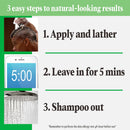 Just for Men Shampoo-in Color (Formerly Original Formula), Gray Hair Coloring for Men, Medium Red Brown, 12 Count Just for Men Store