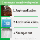 Just For Men Shampoo-In Color, Mens Hair Dye with Vitamin E for Stronger Hair - Darkest Brown Black, H-50A, 3 Pack (Formerly Original Formula) Just for Men