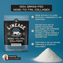 Lineage Provisions 100% Grass Fed Collagen Powder UNFLAVORED – Hydrolyzed Bovine Collagen Peptides with Trachea, Scapula, Eggshell Membrane – Collagen Protein Powder with Vitamin C – 30 Servings Infinity Warehouse