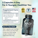 HPN NAD3 Clinical NAD+ Booster, Cellular Health & Natural Energy - NAD Supplement for Healthy Aging, Metabolic Support, NRF2 & Longevity, Nicotinamide Riboside & NMN Alternative, 240ct, 120-Day Supply Infinity Warehouse