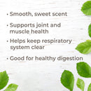Plant Therapy Copaiba Oleoresin Organic Essential Oil 100% Pure, Undiluted, Natural Aromatherapy, Therapeutic Grade 10 mL (1/3 oz) Plant Therapy