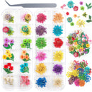 UOONY 2 Boxes Dried Flowers Resin Supplies, 24 Colors 3D Mini Real Natural Flowers Sticker for Nail Art with Tweezers for Tips Manicure Decor UOONY