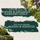 Maui Moisture Heal & Hydrate + Shea Butter Vegan Combing Cream for Thick Curly Hair, Silicone- & Sulfate-Free Leave-In Hair Treatment with Coconut & Macadamia Oils to Define Curls, 8 oz Maui Moisture Store