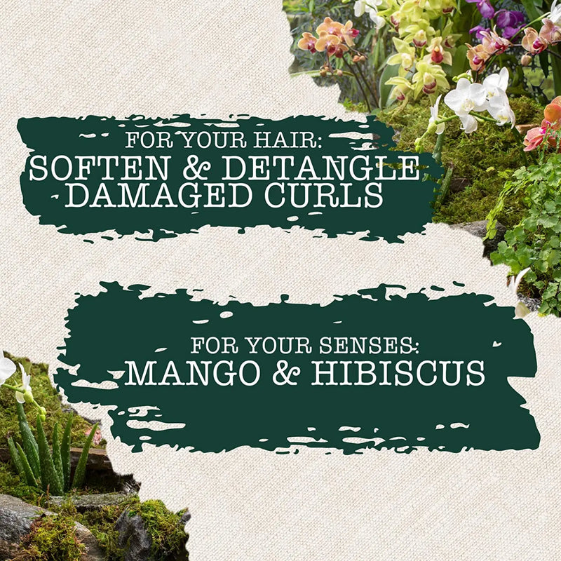 Maui Moisture Heal & Hydrate + Shea Butter Vegan Combing Cream for Thick Curly Hair, Silicone- & Sulfate-Free Leave-In Hair Treatment with Coconut & Macadamia Oils to Define Curls, 8 oz Maui Moisture Store