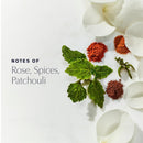 Estée Lauder Youth-Dew Dusting Powder Box with Body Powder & Puff with Notes of Rose, Spices & Patchouli, 7 Ounce Infinity Warehouse