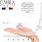 Camila Paris CP3071 French Hair Clips for Women, Handmade, White, Small, Girls Hair Claw Clips Jaw, Durable Styling Hair Accessories for Women, Strong Hold No Slip Grip, Made in France Camila