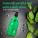 Luseta Tea Tree Oil Body Wash with Mint, Sulfate free, Helps Body Odor, Athlete's Foot, Jock Itch, Ringworm, Yeast Infections, Skin Irritations, Shower Gel for Women/Men 16.9oz L LUSETA Store