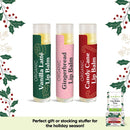 USDA Organic Lip Balm Trio by Sky Organics (3 Sticks) Winter Flavors Gift Pack Cruelty-Free Candy Cane, Gingerbread, Vanilla Latté Lip Balm Gift Set for Dry Lips Limited Edition Made In USA Sky Organics