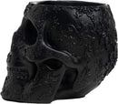 Skull Makeup Brush Holder Extra Large, Strong Resin Extra Large By The Wine Savant The Wine Savant