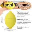Thirsty Lemon Makeup Sponge by Ally Things Beauty | Yellow Lemon Shaped Makeup Blender for Liquid Foundation, Cream or Powder Blending - Cosmetic Applicator - Cute & Latex-Free Daily Beauty Sponge Ally Things Beauty