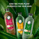 Herbal Essences Sulfate Free Shampoo with Honey for Daily Moisture, Nourishes Dry Hair, Moisturizing Shampoo with Certified Camellia Oil and Aloe Vera, Lightweight For All Hair Types, 33.8oz Infinity Warehouse