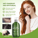 Roycederm Tea Tree Antifungal Scalp Care Set – Pre-Shampoo Scrub + Tea Tree Antifungal Shampoo + Hydrating Conditioner – Itchy & Dry Scalp Relief, Dandruff & Folliculitis Treatment Infinity Warehouse