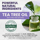 Tea Tree Purple Shampoo & Conditioner Set for Bleached, Silver & Gray Hair Infinity Warehouse