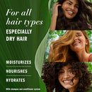 Herbal Essences Sulfate Free Shampoo with Honey for Daily Moisture, Nourishes Dry Hair, Moisturizing Shampoo with Certified Camellia Oil and Aloe Vera, Lightweight For All Hair Types, 33.8oz Infinity Warehouse