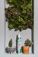 Batiste Waterless Cleansing Foam Cleanse and Hydrate with Cactus Water, 3.60 OZ Batiste