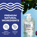 La Grappe d'Or Mediterranean Fig Marseille Hand Soap with Essential Oils | Handmade in France from Moisturizing Organic Olive & Coconut Oil | Natural, Cruelty-Free & Vegan, 11.10 oz Liquid Infinity Warehouse