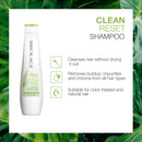 BIOLAGE Normalizing Clean Reset Shampoo | Intense Cleansing Treatment To Remove Buildup | For All Hair Types | Paraben-Free | Vegan BIOLAGE