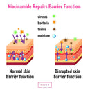 Bauer Beauty Niacinamide Face Serum 5% With Zinc Pore Minimizer Acne Scar & Anti Aging Brightening Glow Serum Bauer Beauty