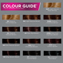 John Frieda Precision Foam Hair Color, Light Natural Brown 6N, Full-coverage Hair Color Kit, with Thick Foam for Deep Color Saturation (Pack of 2) John Frieda