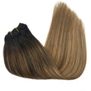 Doores Hair Extensions Clip in Human Hair Ombre Natural Black to Chestnut Brown and Honey Blonde Remy Clip in Human Hair Extensions Straight 120g 7pcs 20 Inch Doores