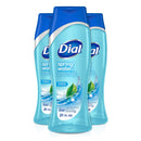 Dial Body Wash, Spring Water with All Day Freshness, 21-Fluid Ounces (Pack of 3) Dial