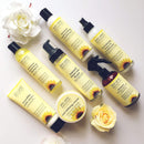 Jane Carter Solution Curl Defining Cream (6oz) - Reduce Frizz, Nourish, Lightweight (Pack of 2) Jane Carter Solution