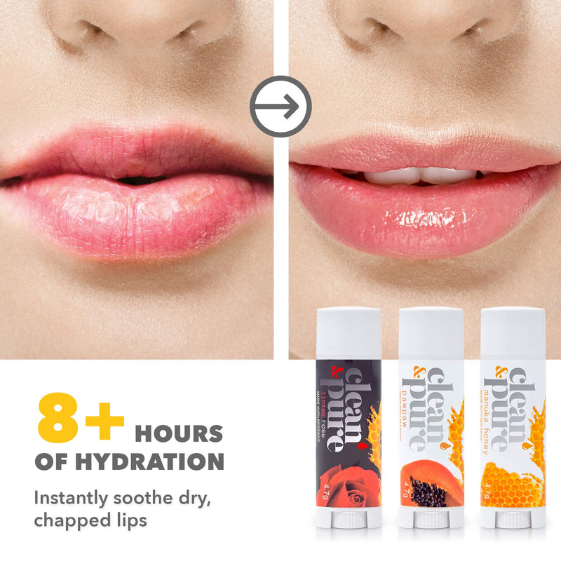 Clean & Pure Bee Sweet Lip Balms, 3 Pack | Manuka Honey Beauty Products | Lip Care Set With 100% All Natural Beeswax and Vitamin E Oil | Flavored Lip Balm for Dry, Chapped Lips | Made in Australia Clean & Pure