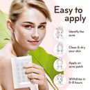 Acne Pimple Master Patch 132 dots - Absorbing Hydrocolloid Blemish Spot Skin Treatment and Care Dressing LE GUSHE