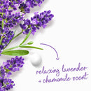 Dove Body Wash with Pump Relaxing Lavender Oil & Chamomile 3 Count for Renewed, Healthy-Looking Skin Gentle Skin Cleanser with 24hr Renewing MicroMoisture 30.6 oz Infinity Warehouse