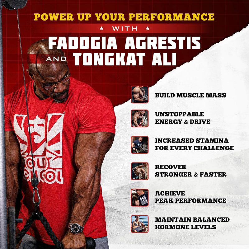 Old School Labs Testosterone Supplement for Men – Fadogia Agrestis 1500mg Max Potency + Tongkat Ali & BioPerine® – Muscle Growth, Recovery, Drive & Stamina – 120 Caps, 40 Servings Infinity Warehouse