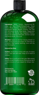 New York Biology Tea Tree Conditioner – Deep Cleanser – Relief for Dandruff and Dry Itchy Scalp – Therapeutic Grade - Helps Promote Hair Growth – 16.9 fl Oz NEW YORK BIOLOGY THE ULTIMATE COSMECEUTICALS Store