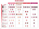 Burts Bees 100% Natural Origin Tinted Lip Balm, Zinnia with Shea Butter & Botanical Waxes - 1 Tube Burt's Bees