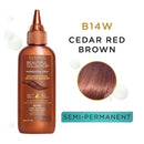 Clairol Professional Beautiful Collection Hair Color, 14w Cedar Red Brown, 3 oz Clairol Professional