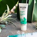 Weleda Sheer Hydration Daily Face Crème, Prickly Pear Cactus Extract, 1 Fluid Ounce Weleda Store