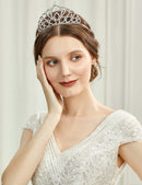 BABEYOND Crystal Queen Tiara Crown Rhinestones Pageant Quinceanera Crown Prom Princess Tiara Crown Bridal Wedding Crown Tiara Headband BABEYOND