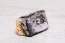 SABUN CO. Activated Charcoal Soap - Natural Exfoliating Loofah Soap Bar - Handmade, Moisturizing Soap with Loofah Inside | Face & Body Scrub Bar [4.40 oz - 125 gr] SABUN NATURALLY LAVISH
