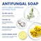 Hermon Antifungal Soap with Tea Tree Oil: Antifungal Bar Soothing Care & Relief of Itchy for Ringworm Jock Itch Tinea Versicolor Athletes Foot - Body & Face Wash for Men and Women Infinity Warehouse