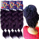 Pre-Stretched Braiding Hair Extensions – 24 Inch 6 Bundles Total – Xpression 100% Kanekalon Hair Extensions – TZ Braid Hair Extensions – Pre-Cut and Pre-Combed Synthetic Hair – Natural Look (NPURPLE) Supreme Hair